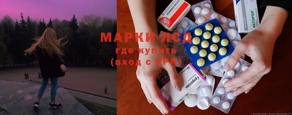 СК Алексин