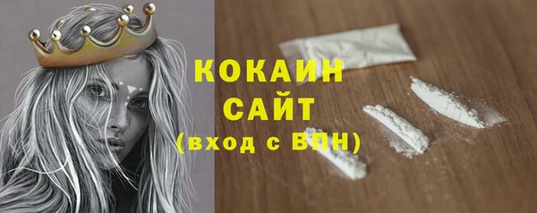 СК Алексин