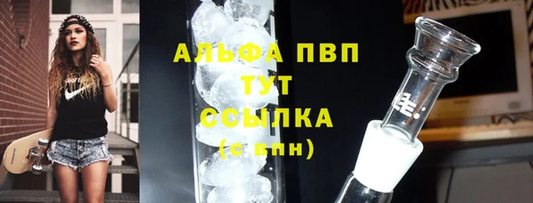 индика Елабуга