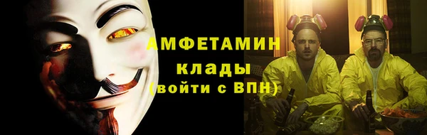 индика Елабуга
