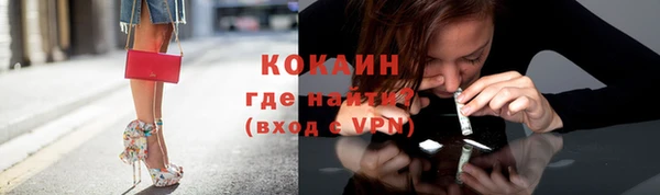 индика Елабуга