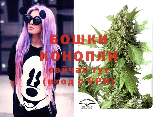 амф Ельня