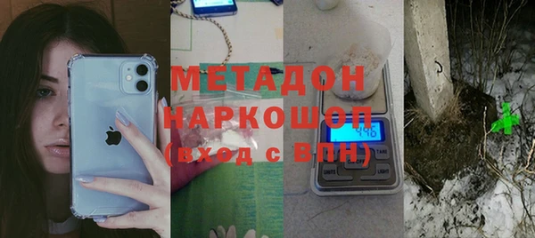 амф Ельня
