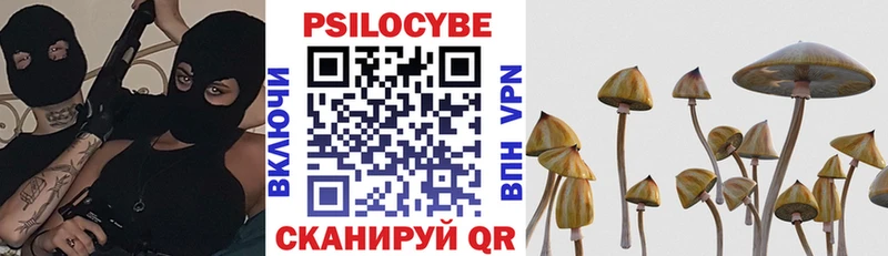 магазин    Волгодонск  Псилоцибиновые грибы ЛСД 