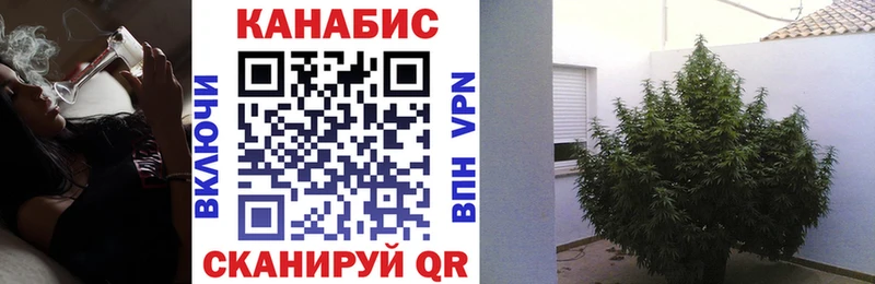 Канабис MAZAR  магазин  наркотиков  Волгодонск 
